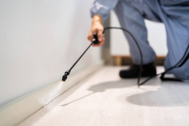 Bed Bug Pre-Treatment Preparation Assessment in Martinsville