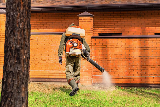 Bed Bug Clearance Verification and Documentation in Martinsville